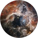 Catherine Sayegh V. profile picture